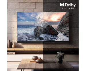 Panasonic TV-Z95BEG TV-55Z95BEG (55 Zoll)